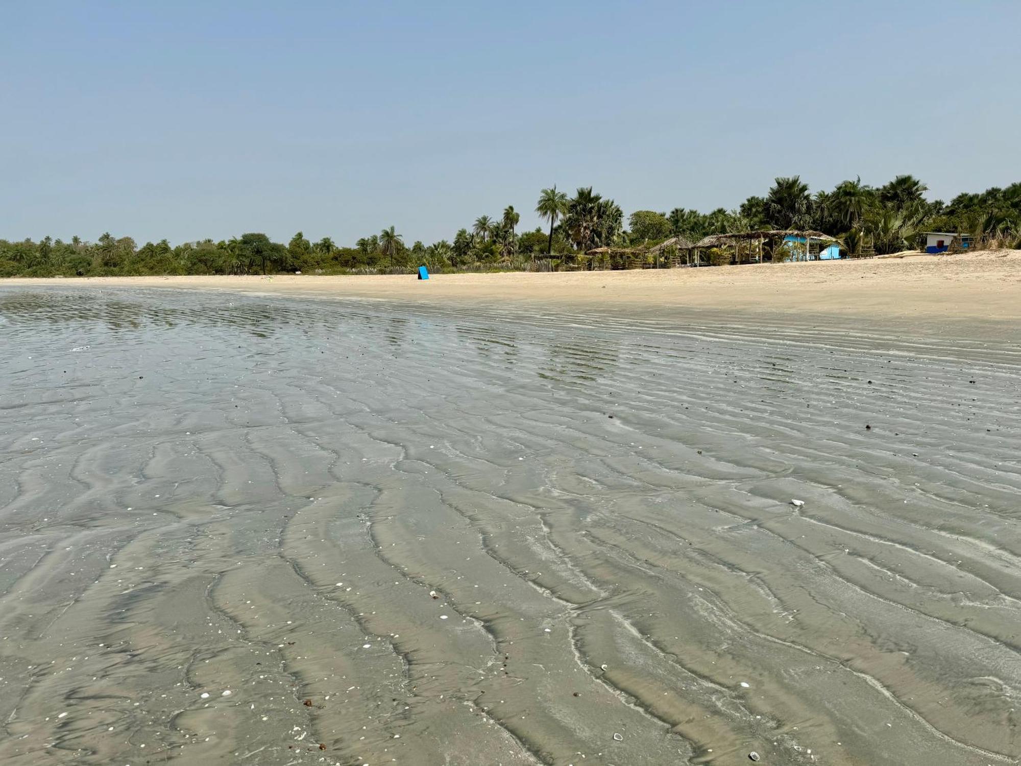 Little'S Nature Retreat Kartong Ngoại thất bức ảnh