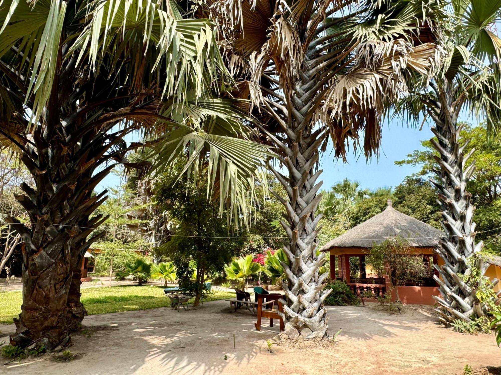 Little'S Nature Retreat Kartong Ngoại thất bức ảnh