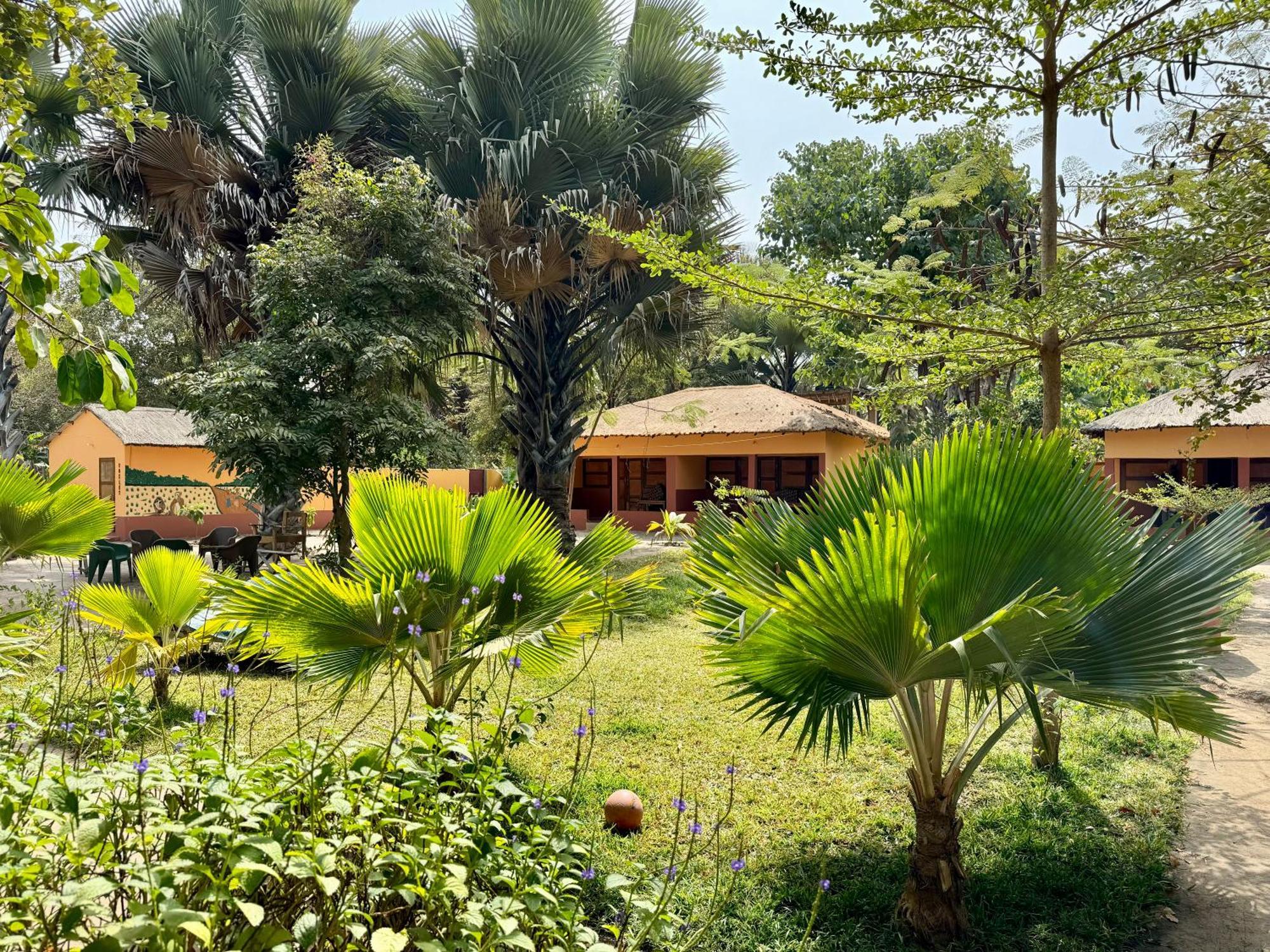 Little'S Nature Retreat Kartong Ngoại thất bức ảnh
